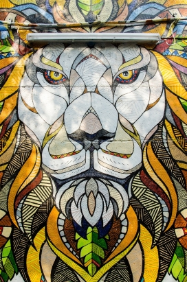 YAAM壁画狮子－柏林街头艺术涂鸦插画设计