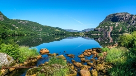 峰木龙湖岩石植物