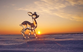 夕阳下的冰鹿