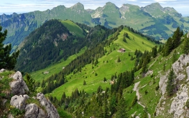 绿色的瑞士山