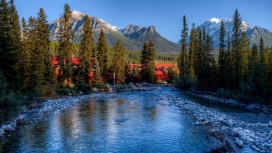 惊人的加拿大亚伯大班夫雪河森林壁纸