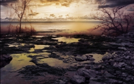 海洋树-俏丽的岩石岸