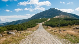 通往高山的小路