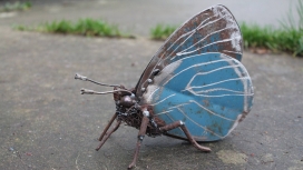 精致的铁艺蝴蝶