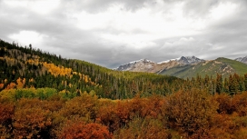 令人愉快的秋天木峰