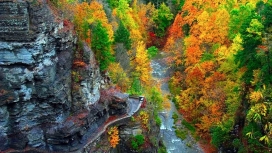 漂亮的秋季森林石壁河