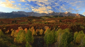 光彩的秋天云彩森林壁纸