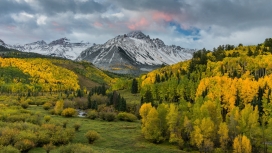 秋天的斯诺伊峰顶森林