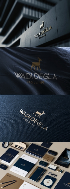 Wadi Degla Holding-海军蓝色调的品牌设计