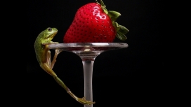 吃草莓的青蛙