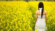 站在金黄油菜花的女人背影