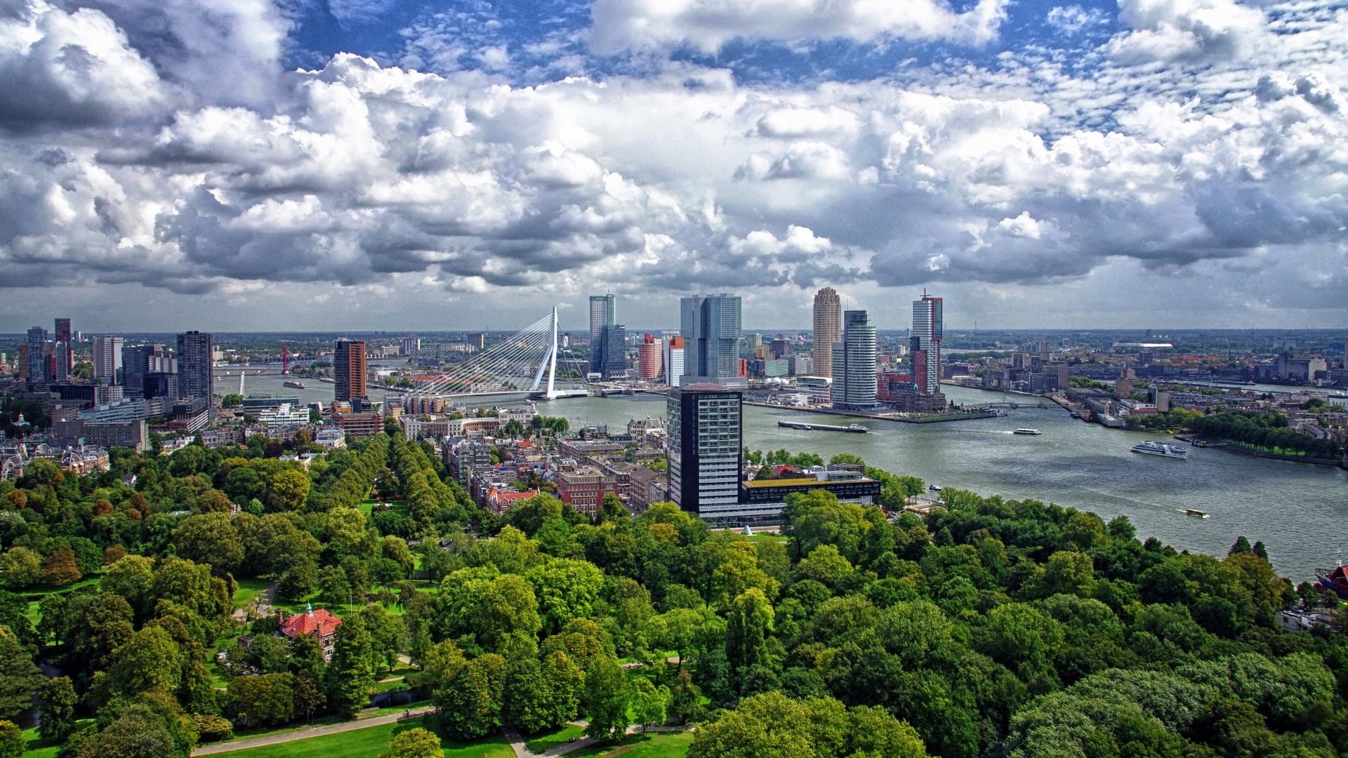荷兰首都鹿特丹图片