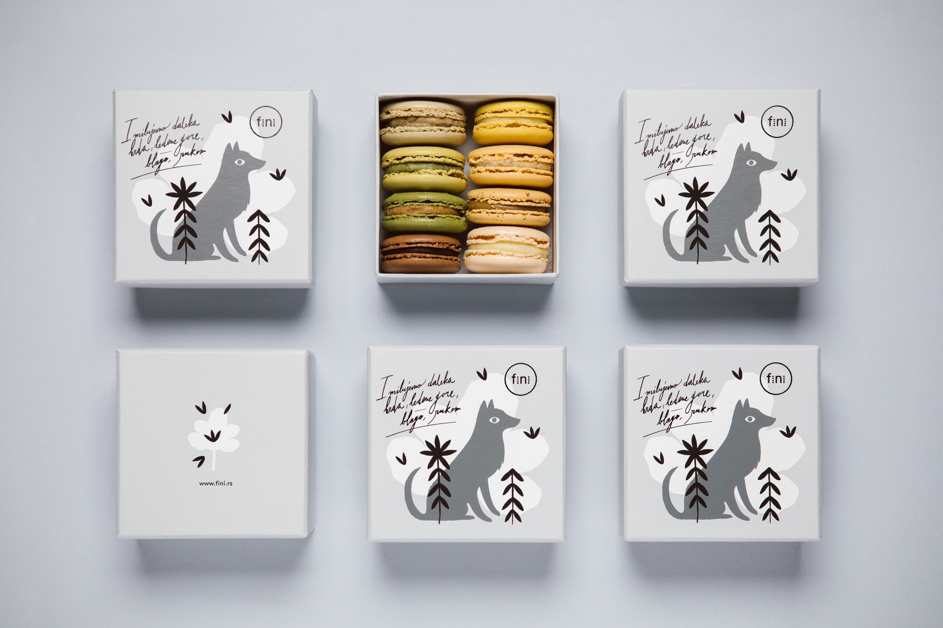 Fini-漂亮新鲜单色的马卡龙饼干包装设计图片