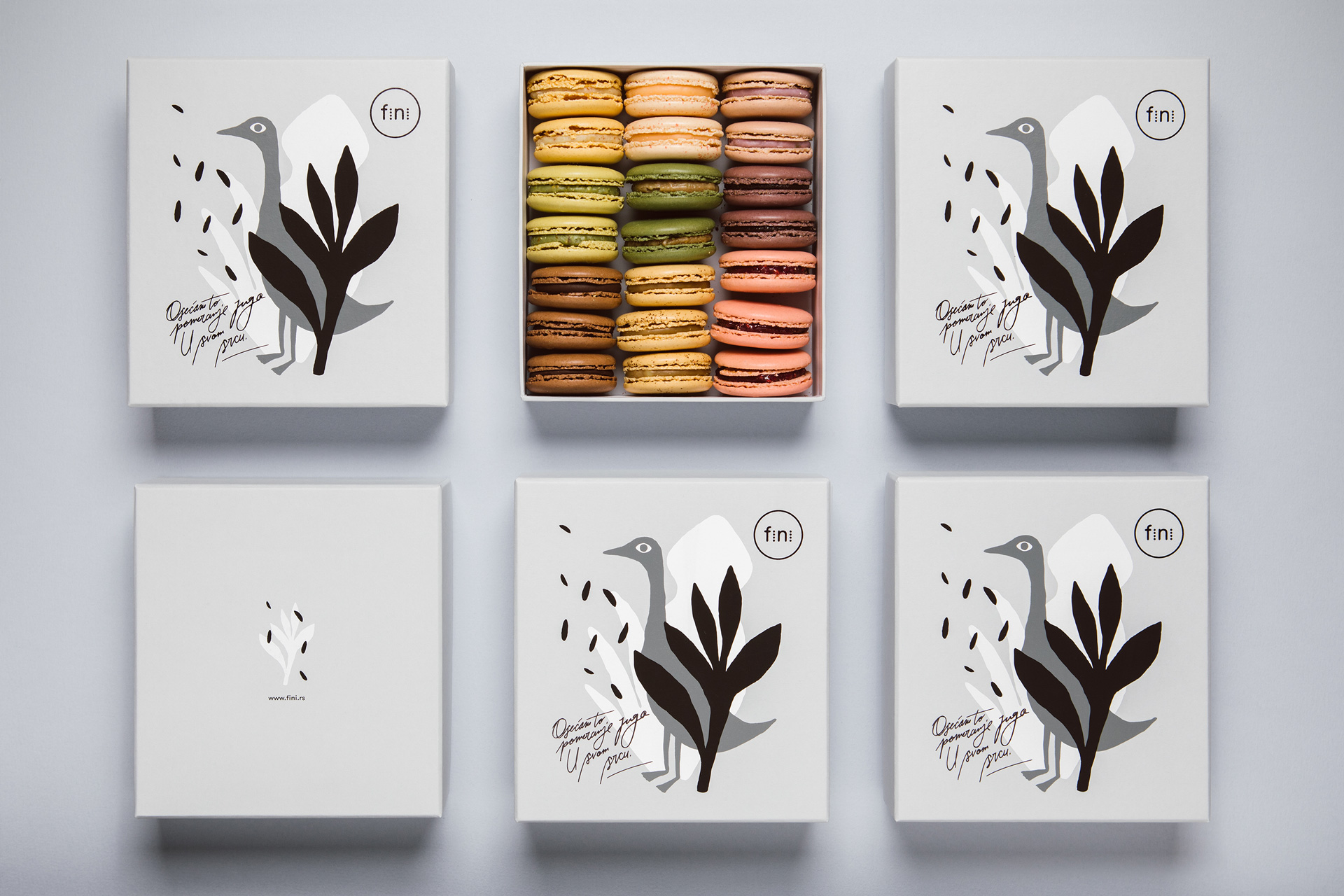 Fini-漂亮新鲜单色的马卡龙饼干包装设计---酷图编号2