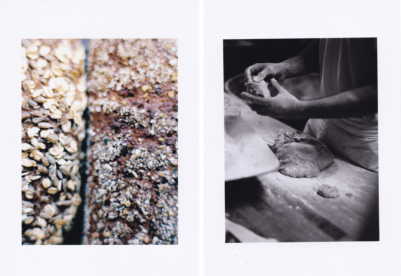 Buchgraber品牌面包店设计---酷图编号2