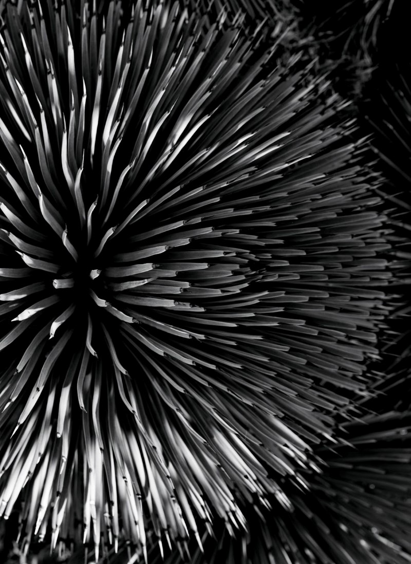 海伦夫人-Madame杂志----酷图编号5