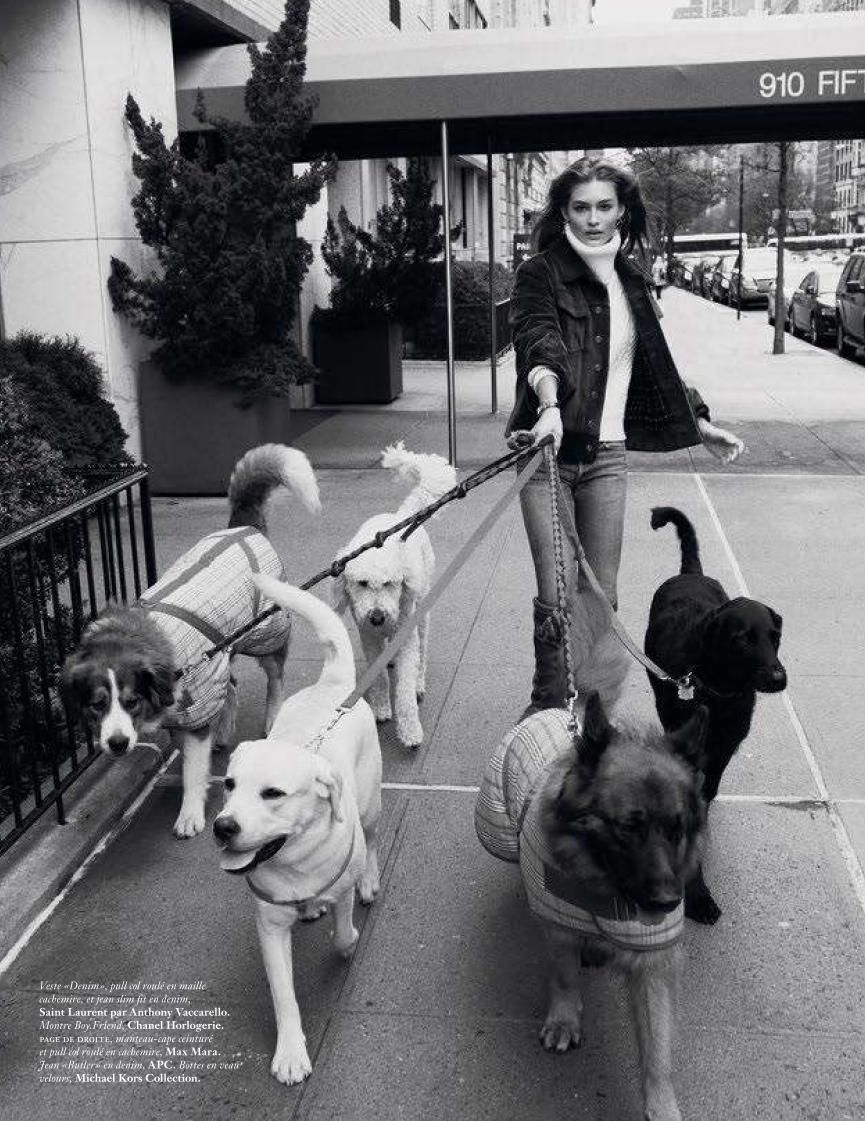 优雅的伊丽莎白-与宠物澡堂漫步-VOGUE时尚之都巴黎2017年8月---酷图编号7