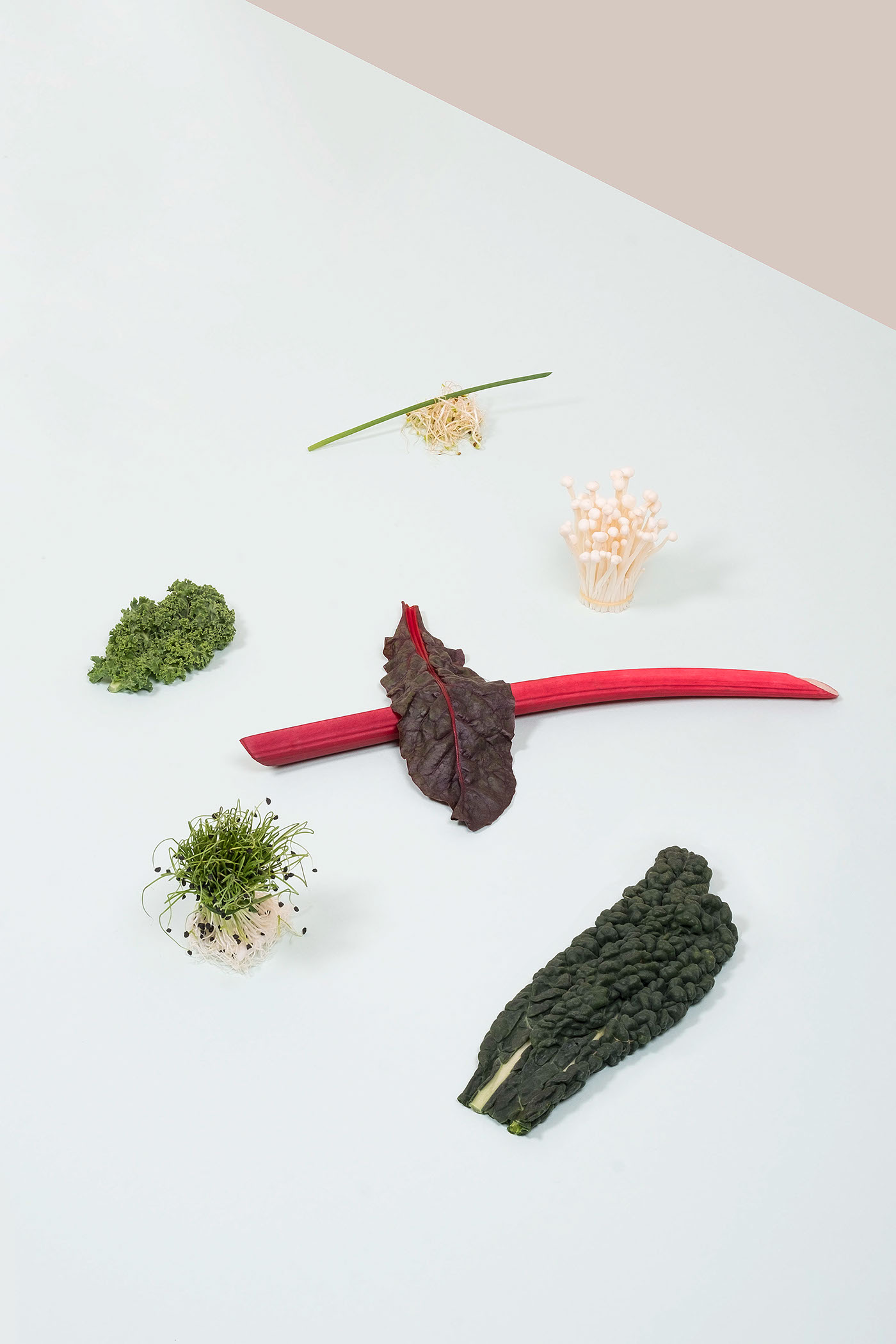 为您的调色盘添加新口味-Made给你异国风味的剂量---酷图编号7