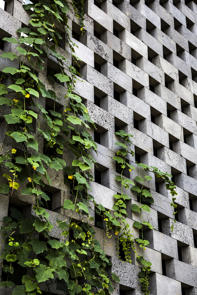 越南621平米的绿屋缝纫厂车间---酷图编号3