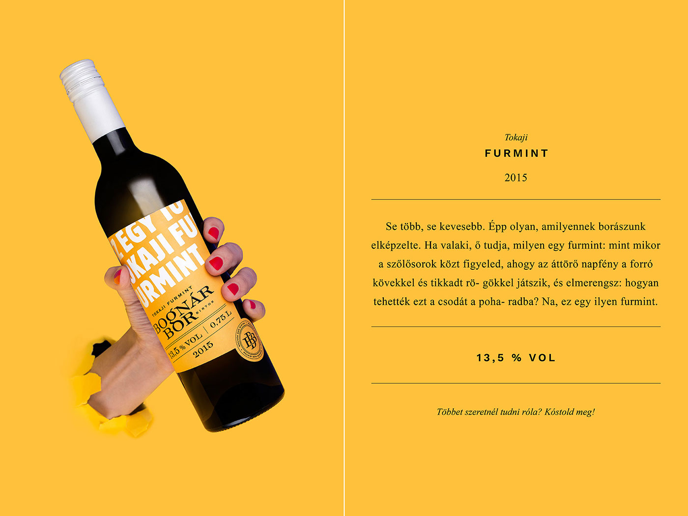 BognárBorBirtok-年轻的葡萄酒---酷图编号11