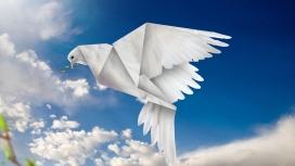 高清晰白色信鸽壁纸