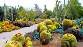 圣马力诺仙人掌仙人球植物园