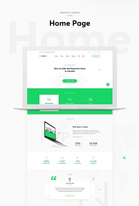 NetGuru-新网站与公司新企业标识设计