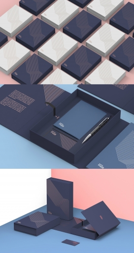 三星Exynos促销包装VIP