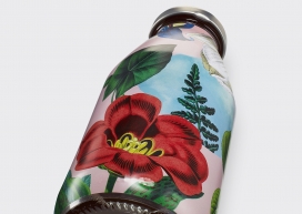 漂亮的野生植物蝴蝶设计-一杯完美的夏日饮品