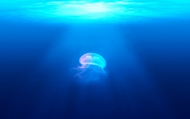 高清晰蓝色深海中的水母壁纸