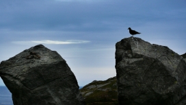 北极圈之外的风景