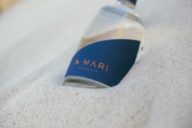 一个优雅的杜松子酒-永恒的设计，波浪的振动，来自海洋