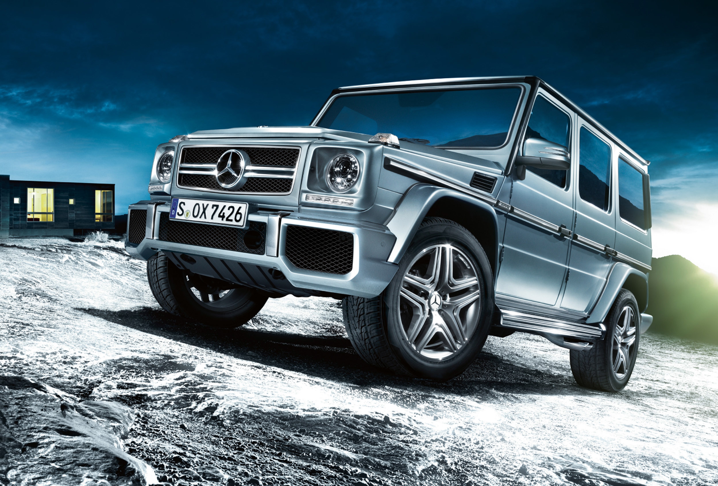 泥泞的野兽图片