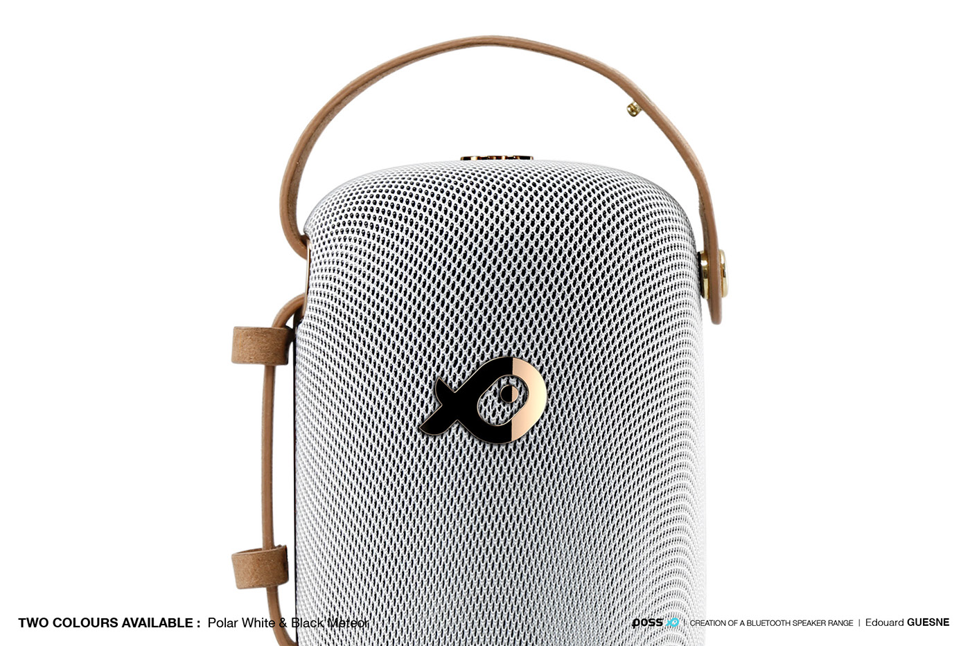 POSS - NOMAD+ Speaker扬声器---酷图编号1198820