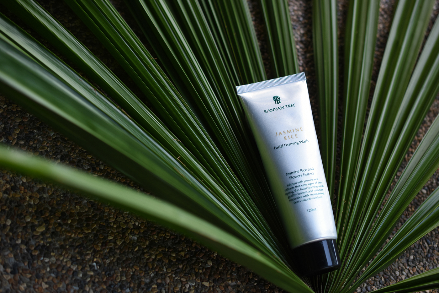 Banyan Tree Essentials-榕树精华---酷图编号9