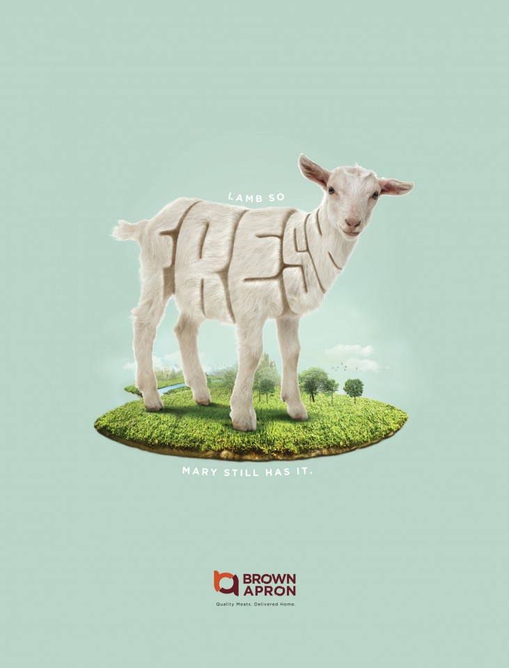 Brown Apron肉食品平面广告---酷图编号2