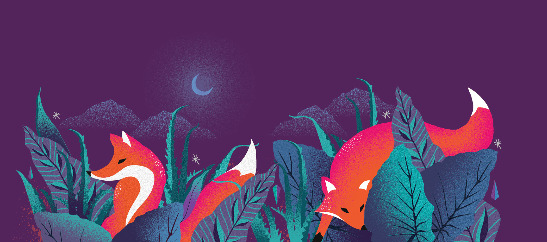 美丽大胆限量版外观的饼干罐---酷图编号2