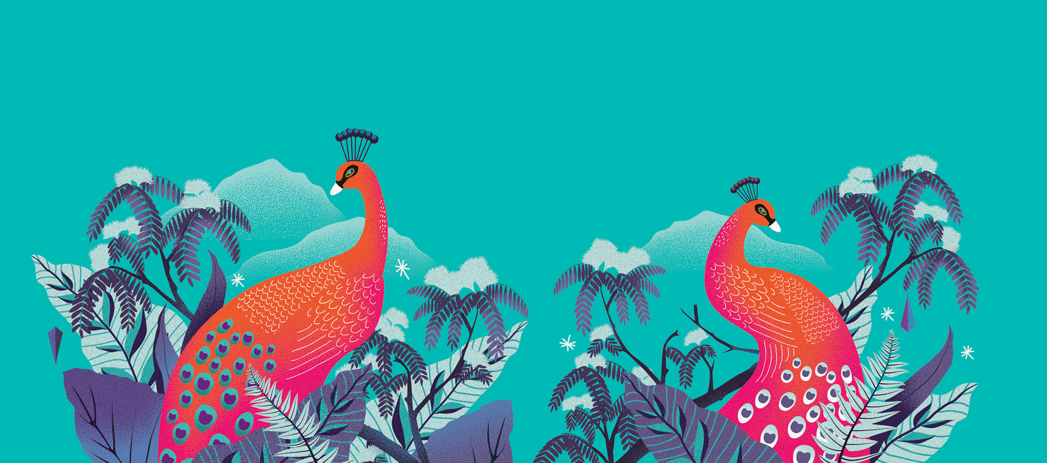 美丽大胆限量版外观的饼干罐---酷图编号1