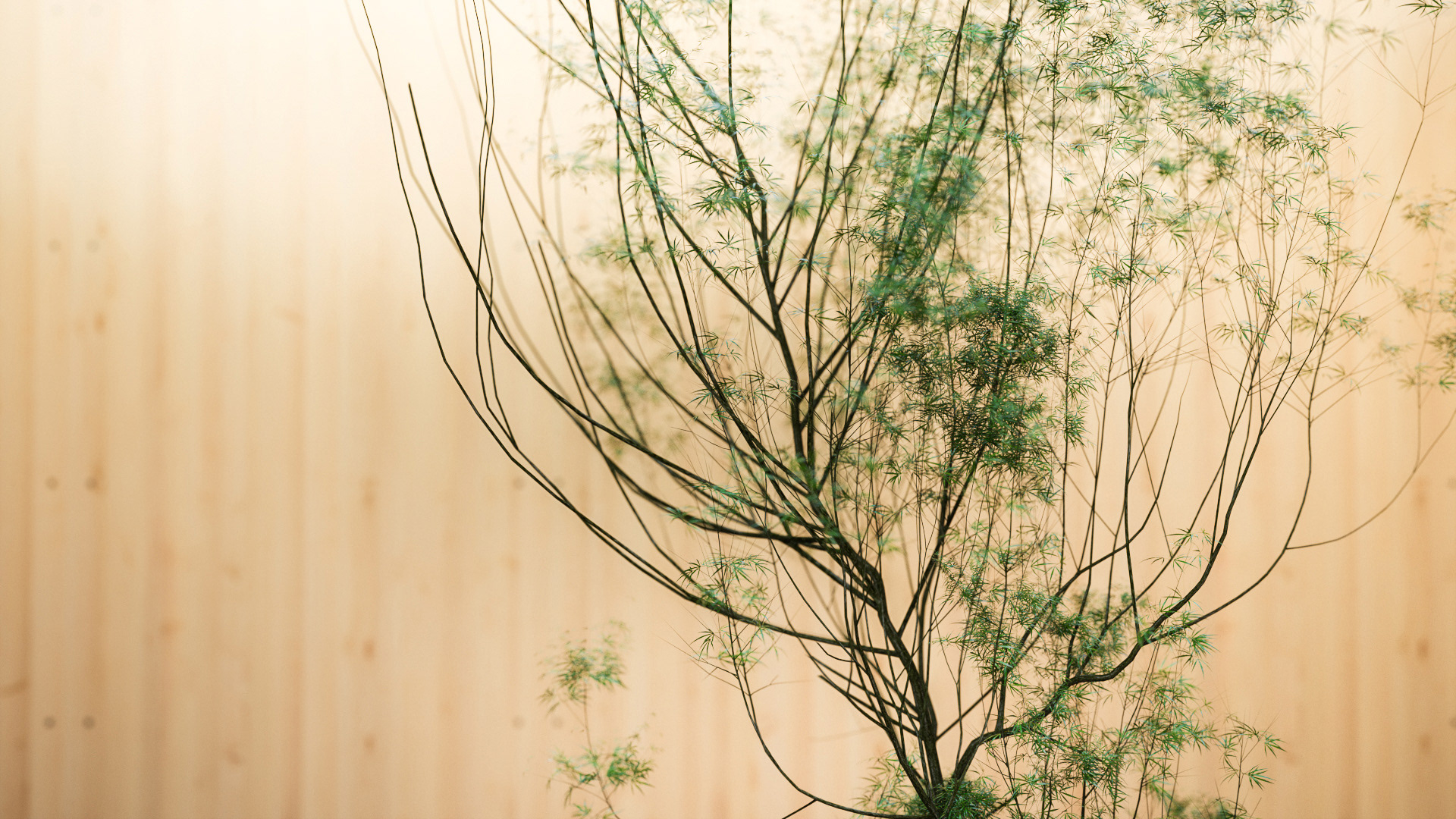 微庭院之家---酷图编号4