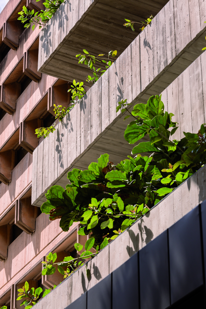 连接城市历史的混凝土景观阳台建筑---酷图编号1207413