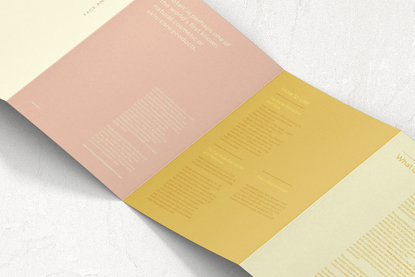 印度Iyura阿育吠陀护肤品牌---酷图编号5