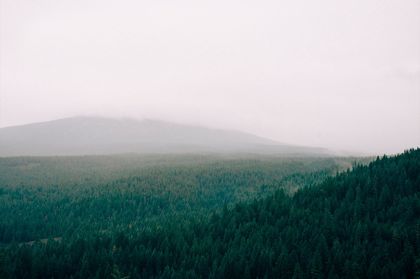 Russia forest products-俄罗斯森林产品---酷图编号1208567