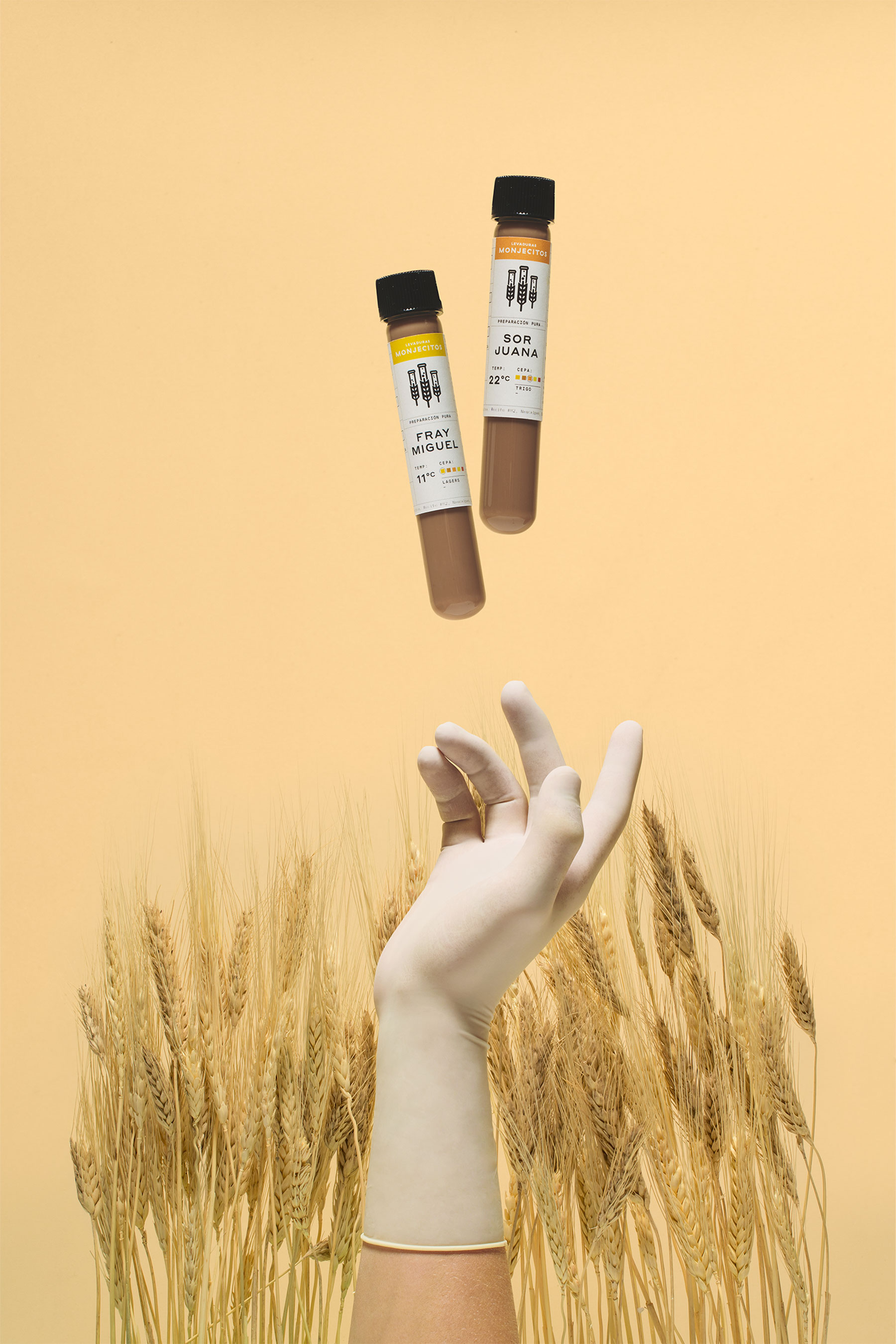 Monjecitos酵母品牌信息图表灵感设计---酷图编号1210091