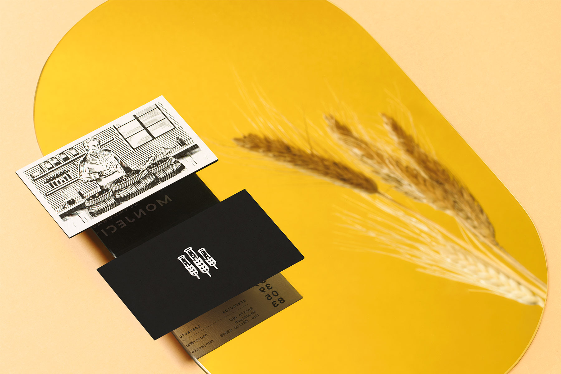 Monjecitos酵母品牌信息图表灵感设计---酷图编号1210097