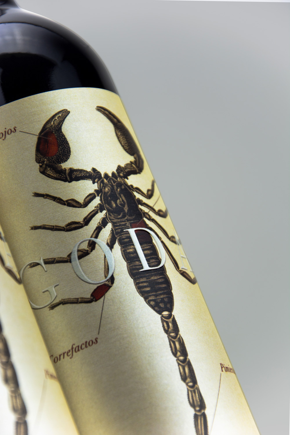 受西班牙地区蝎子填充地形启发的酒---酷图编号4