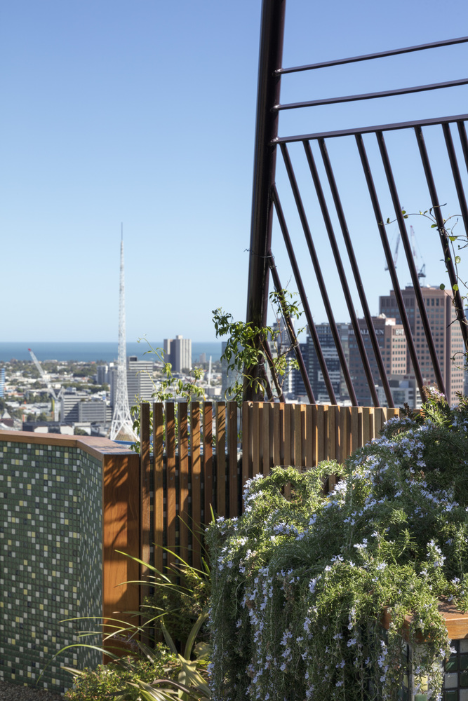 澳大利亚墨尔本的凤凰屋顶花园---酷图编号1210335