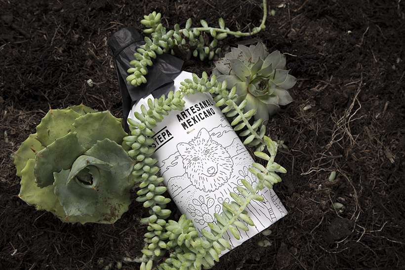 独特线条插图的墨西哥东北部手工朗姆酒包装---酷图编号6