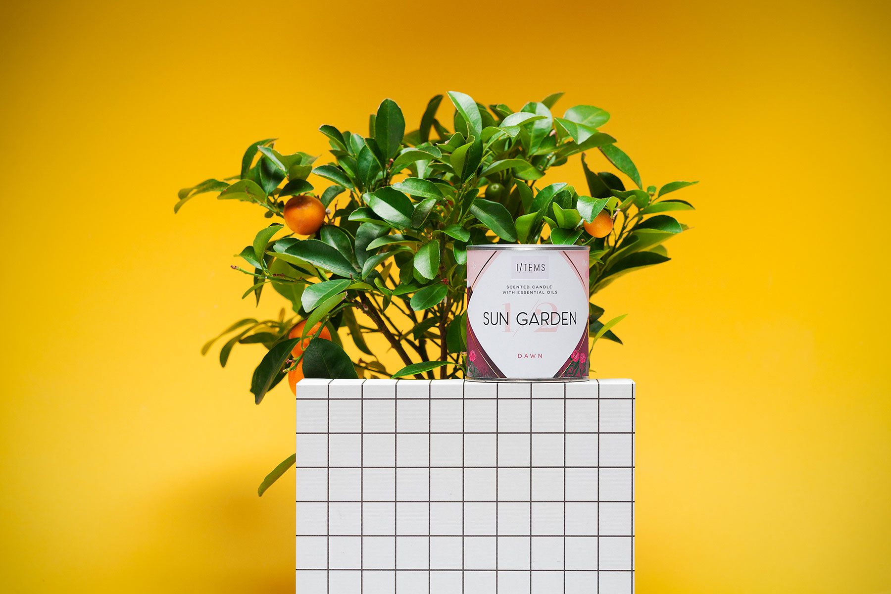 成为你家“灵魂”的保加利亚家庭香水线-该设计除了具有优雅的吸引力外,还具有美丽的异想天开的插图---酷图编号13