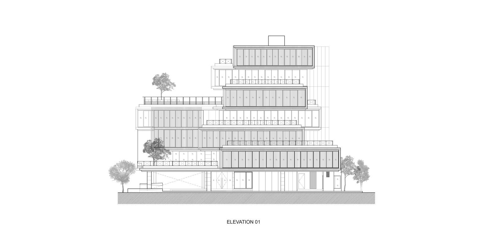 泰国 曼谷农作物木条纹办公室---酷图编号1211632