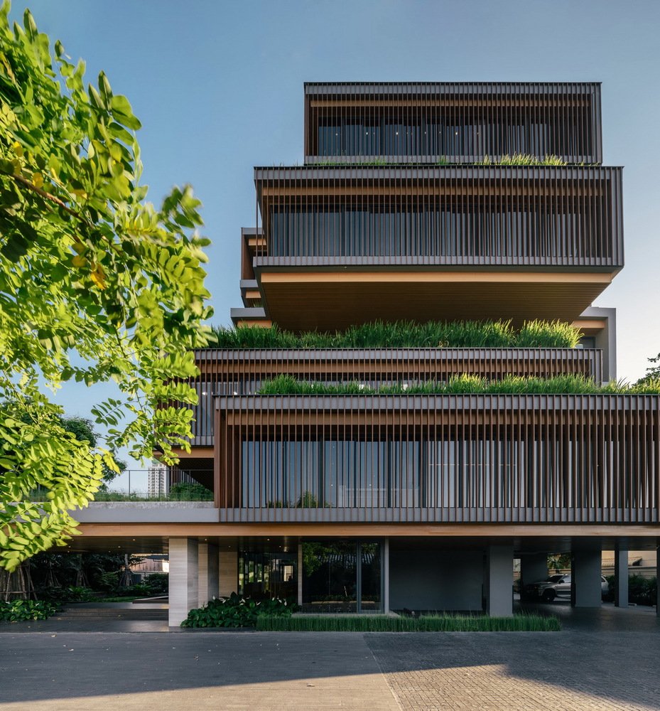 泰国 曼谷农作物木条纹办公室---酷图编号1211640